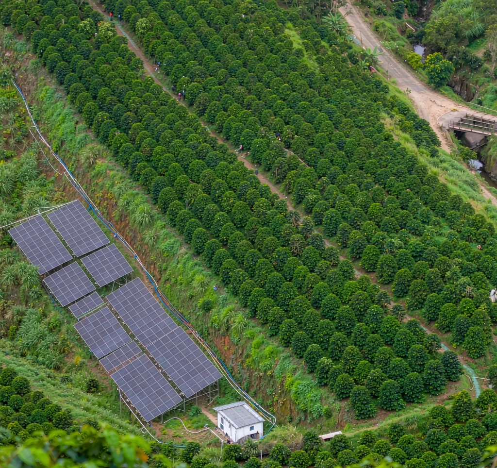 Solar powered irrigation system on a coffee plantation hillside