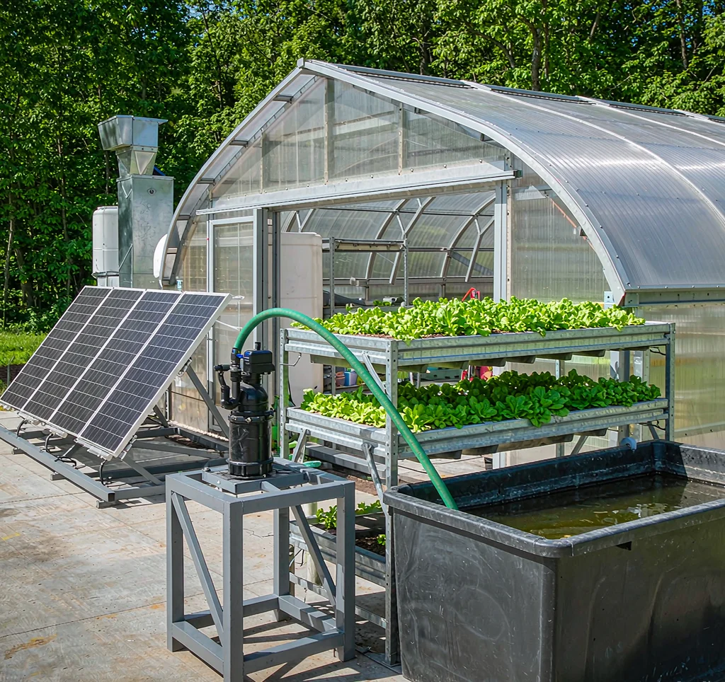Solar powered water pump feeding an aquaponics greenhouse with fish tanks and grow beds