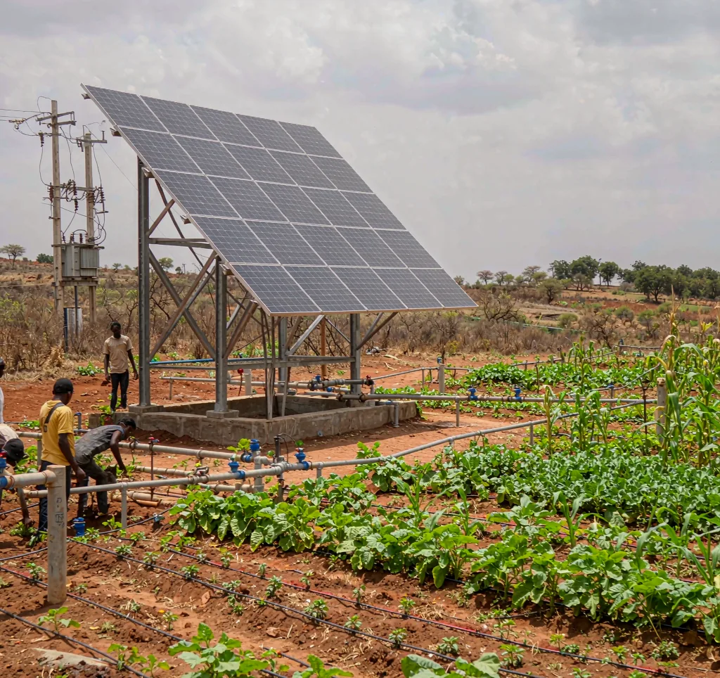 Community solar irrigation cooperative in Africa with shared solar pump and vegetable fields